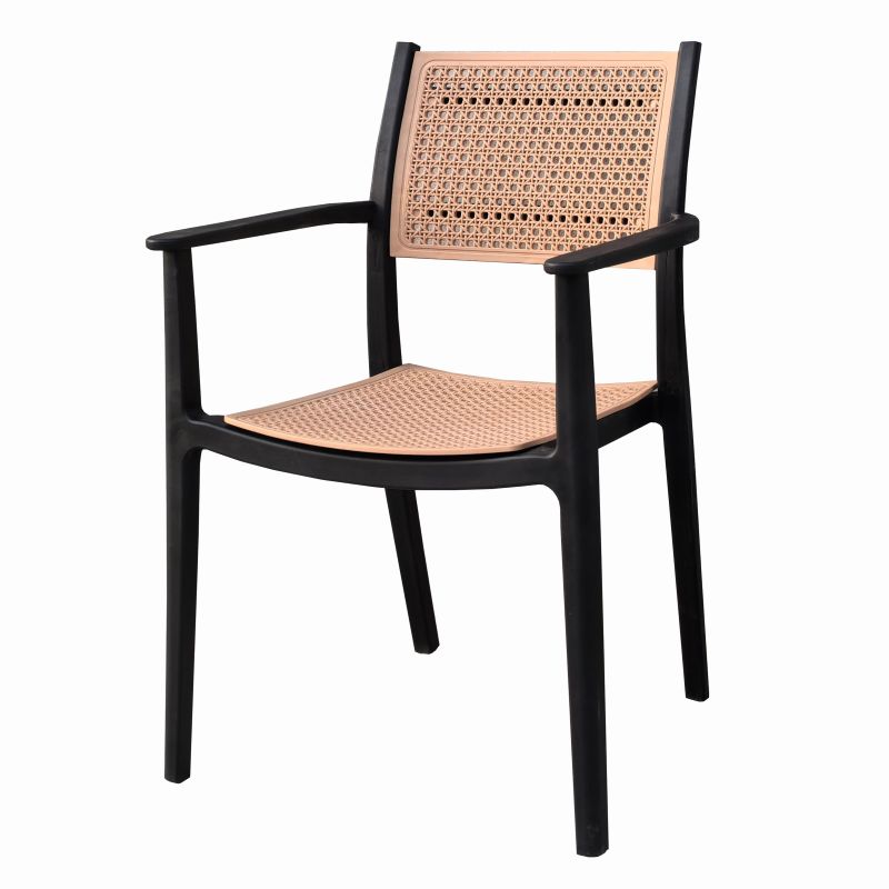 Aruba Dining Arm Chair