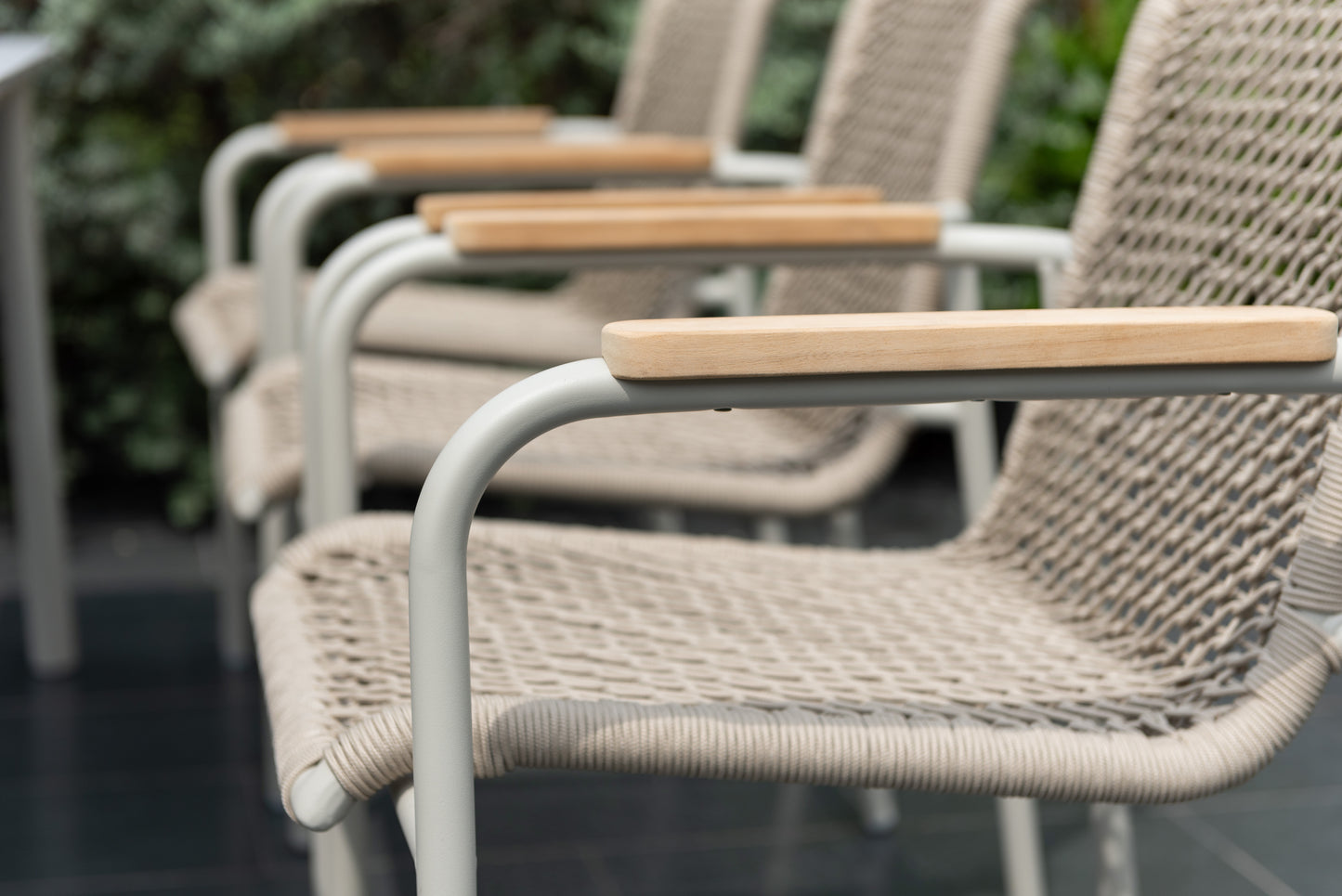 Tash Dining Chair