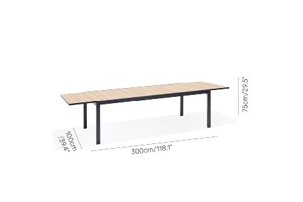 WAS $3499 NOW $2699 *BRAND NEW*  11 Piece Rectangular Extendable Die Cast Aluminum Outdoor Dining Set