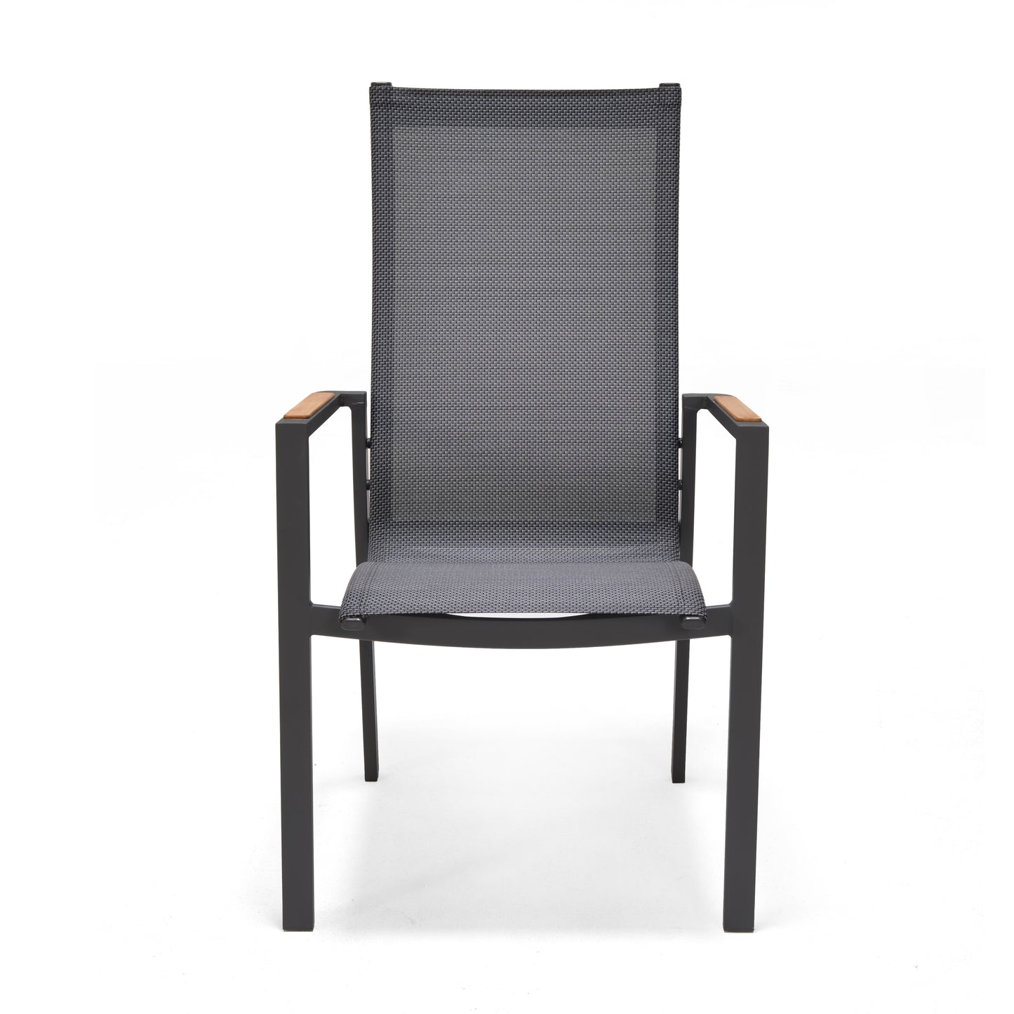 Palau High Back Carver Easy Chair Made of Aluminum & Weather Net